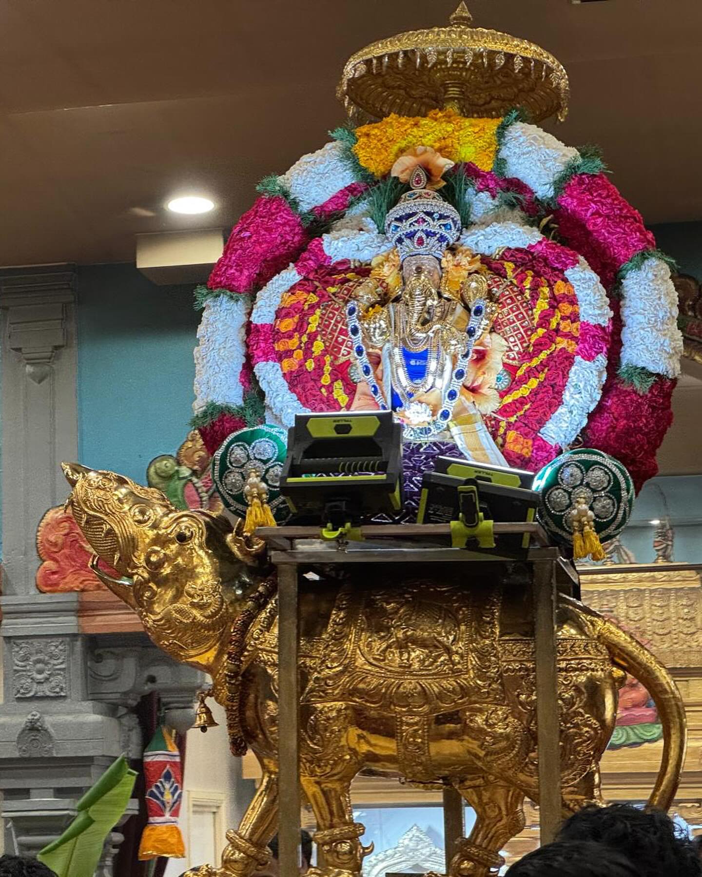 Mon 28th July – Aadi Naga Chathurthi, Aadi Pooram