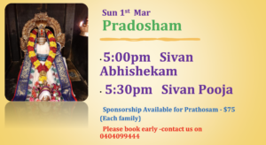 Screenshot 2026-02-25 at 23.07.40